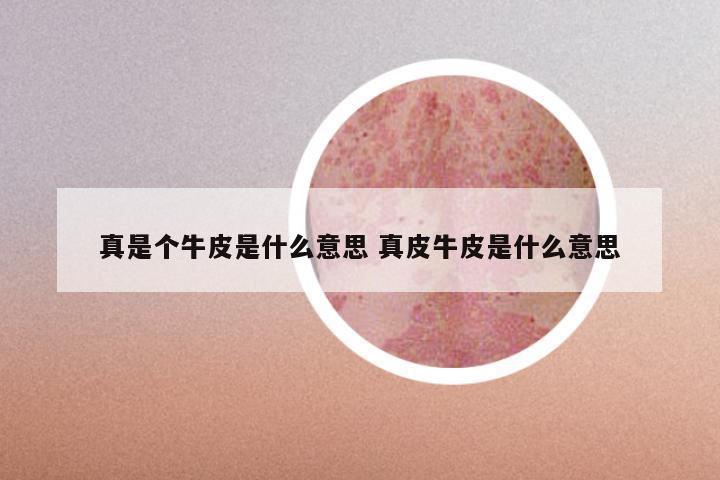 真是个牛皮是什么意思 真皮牛皮是什么意思