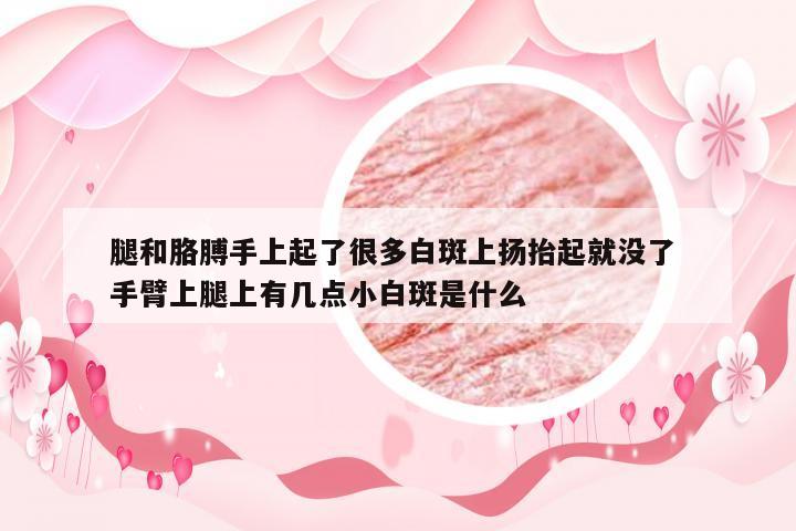 腿和胳膊手上起了很多白斑上扬抬起就没了 手臂上腿上有几点小白斑是什么