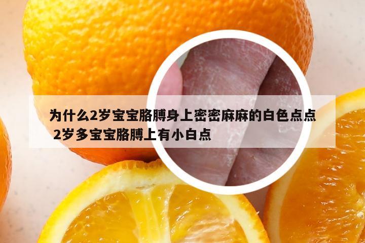 为什么2岁宝宝胳膊身上密密麻麻的白色点点 2岁多宝宝胳膊上有小白点