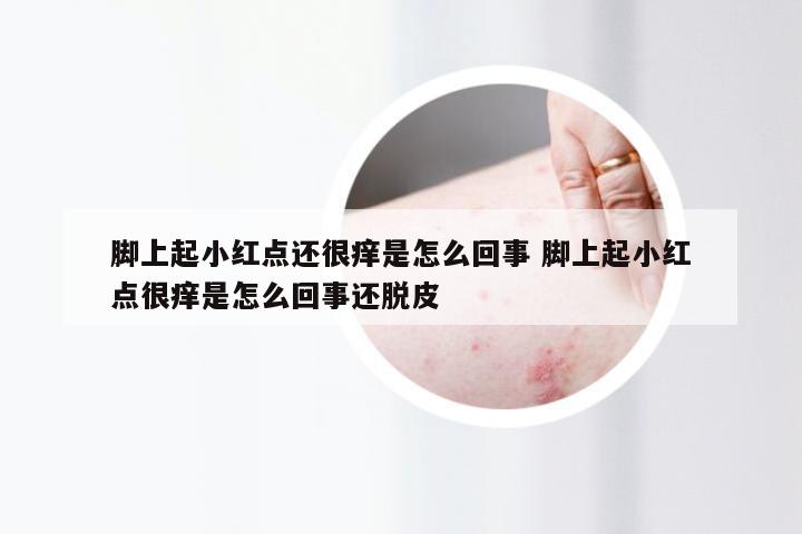 脚上起小红点还很痒是怎么回事 脚上起小红点很痒是怎么回事还脱皮