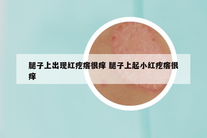 腿子上出现红疙瘩很痒 腿子上起小红疙瘩很痒