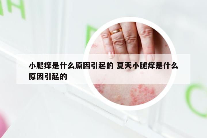 小腿痒是什么原因引起的 夏天小腿痒是什么原因引起的