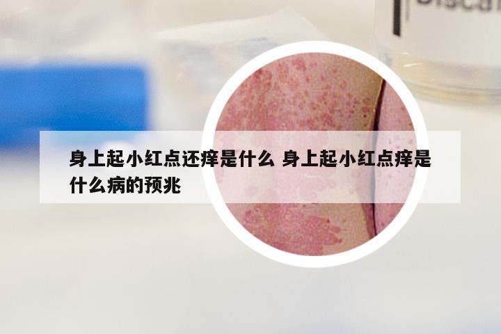 身上起小红点还痒是什么 身上起小红点痒是什么病的预兆