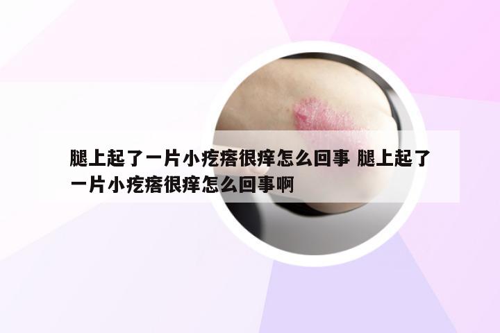 腿上起了一片小疙瘩很痒怎么回事 腿上起了一片小疙瘩很痒怎么回事啊