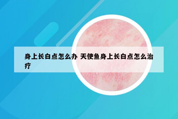 身上长白点怎么办 天使鱼身上长白点怎么治疗