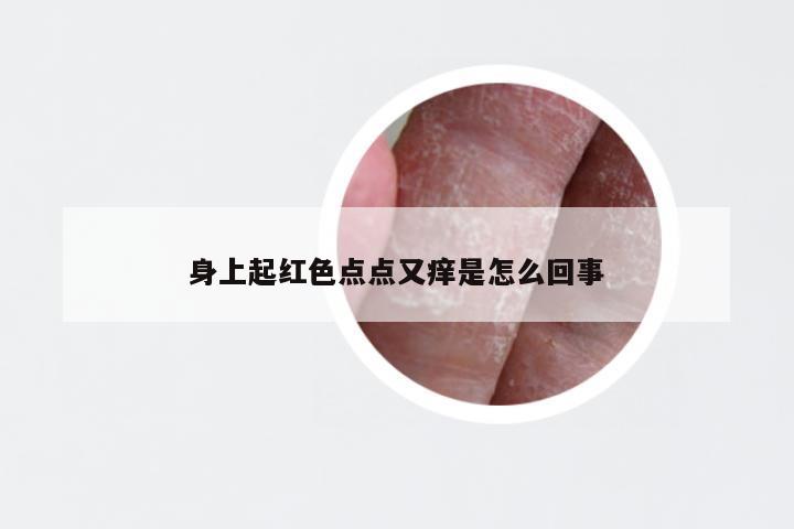 身上起红色点点又痒是怎么回事
