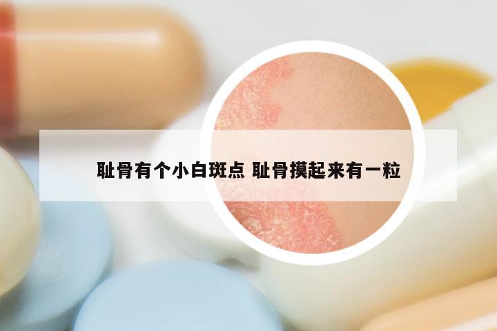 耻骨有个小白斑点 耻骨摸起来有一粒