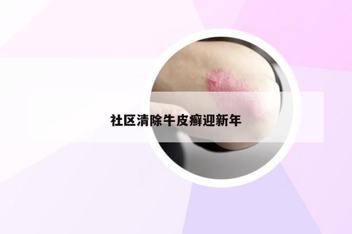 社区清除牛皮癣迎新年