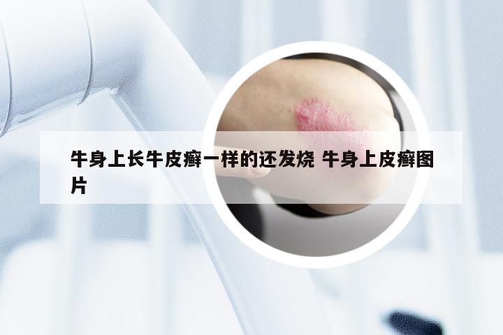 牛身上长牛皮癣一样的还发烧 牛身上皮癣图片