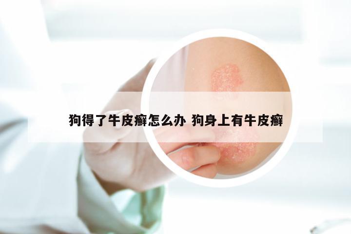 狗得了牛皮癣怎么办 狗身上有牛皮癣