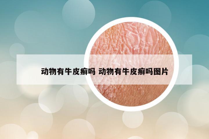 动物有牛皮癣吗 动物有牛皮癣吗图片